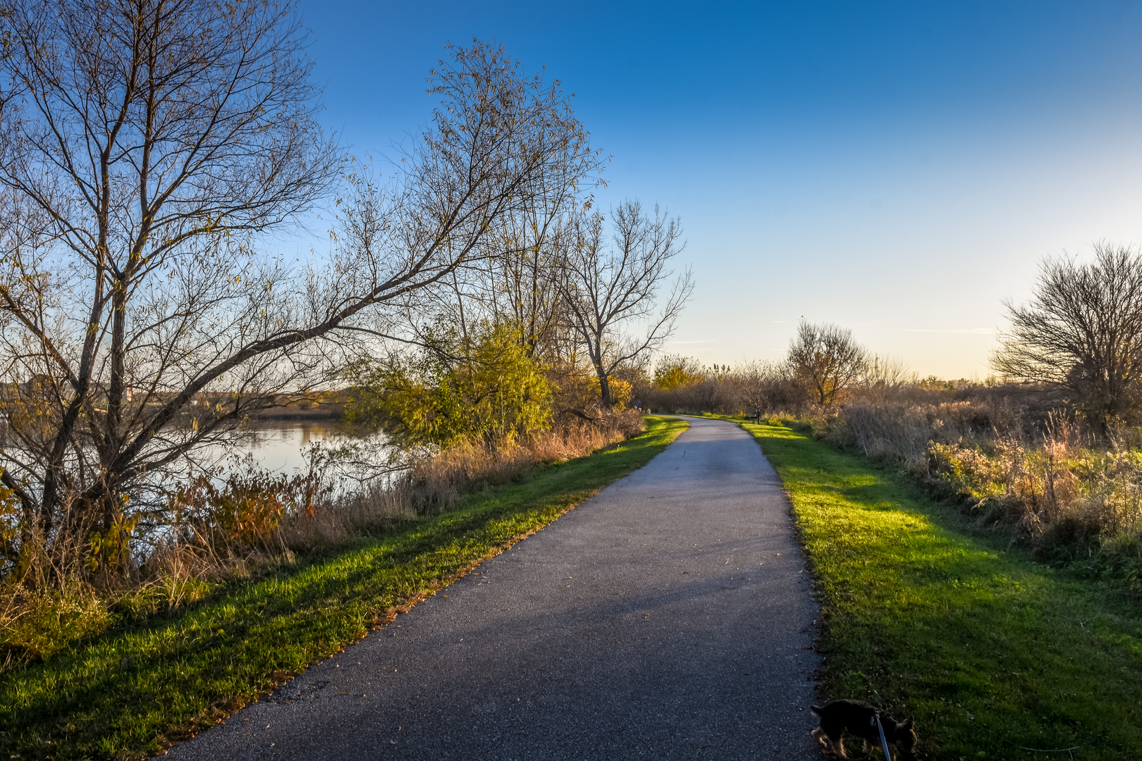 An image depicting the trail Cedar Valley Nature Trail and its surrounding area.