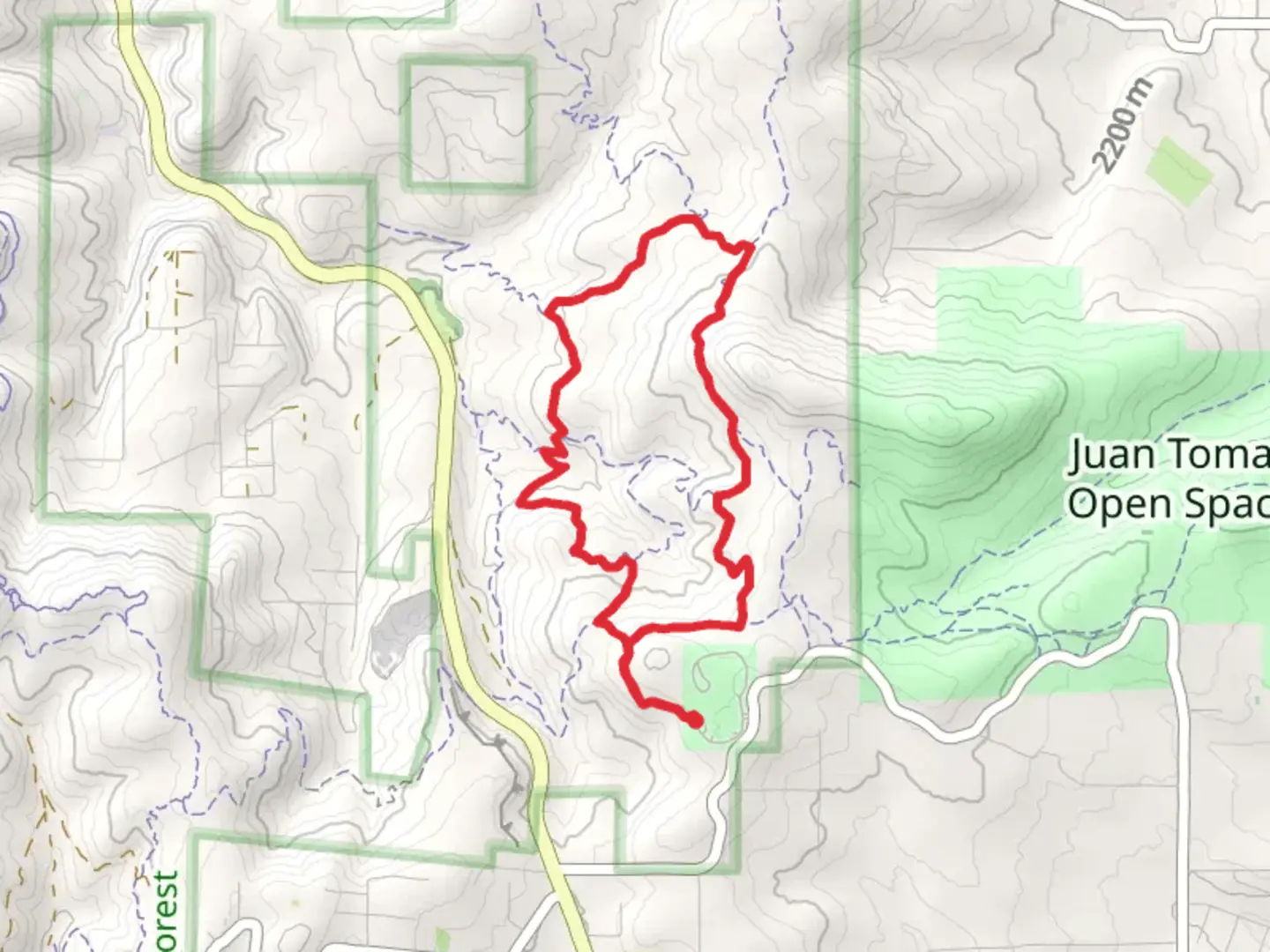 An image depicting the trail Gamble Oak Loop and its surrounding area.