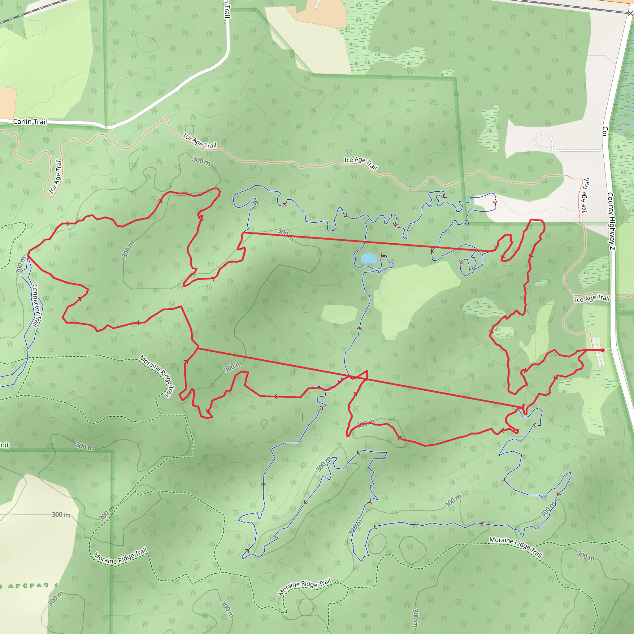 Orange and Green Loop mobile static map