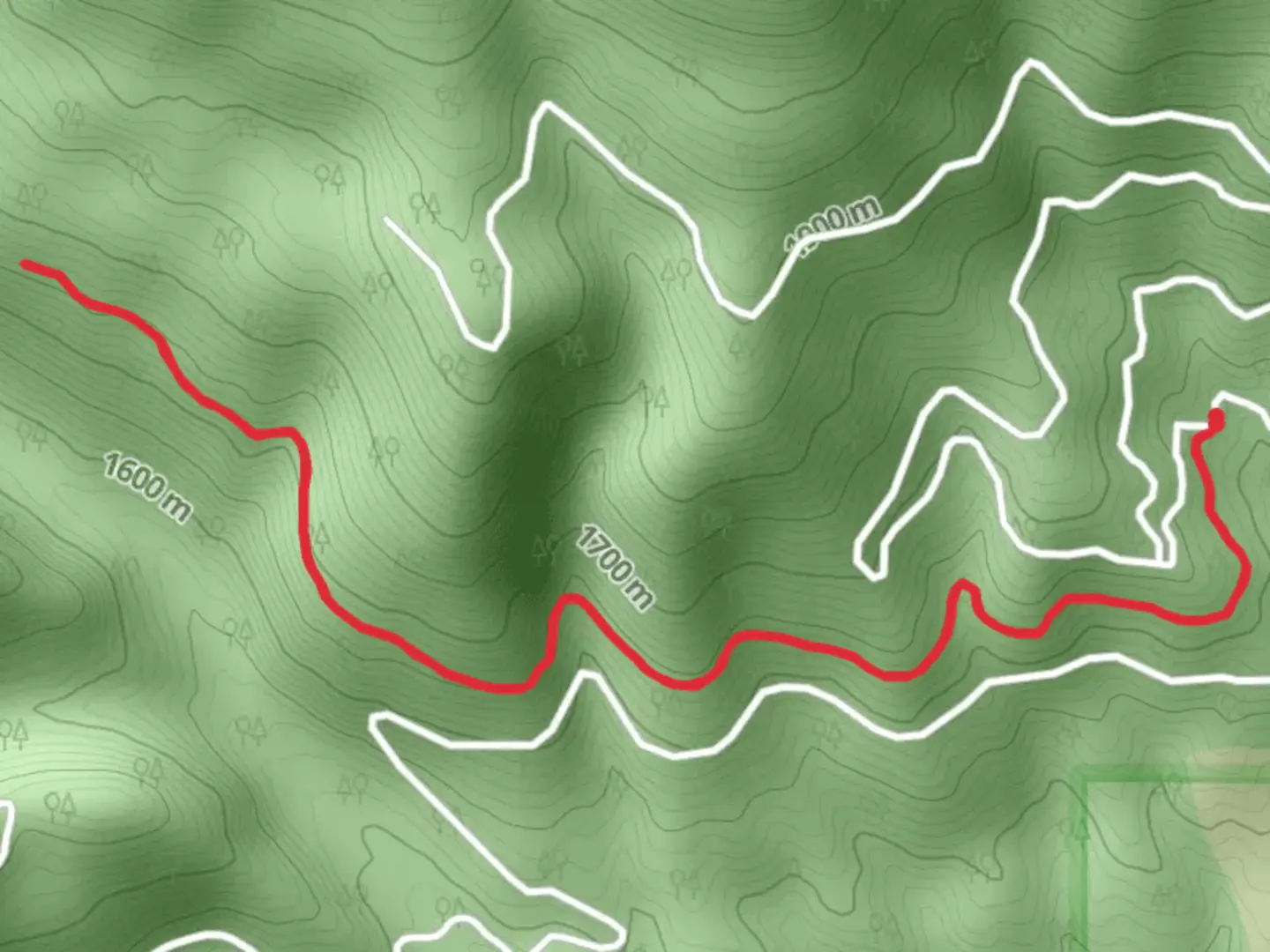 An image depicting the trail Halford - Soda Springs Trail and its surrounding area.