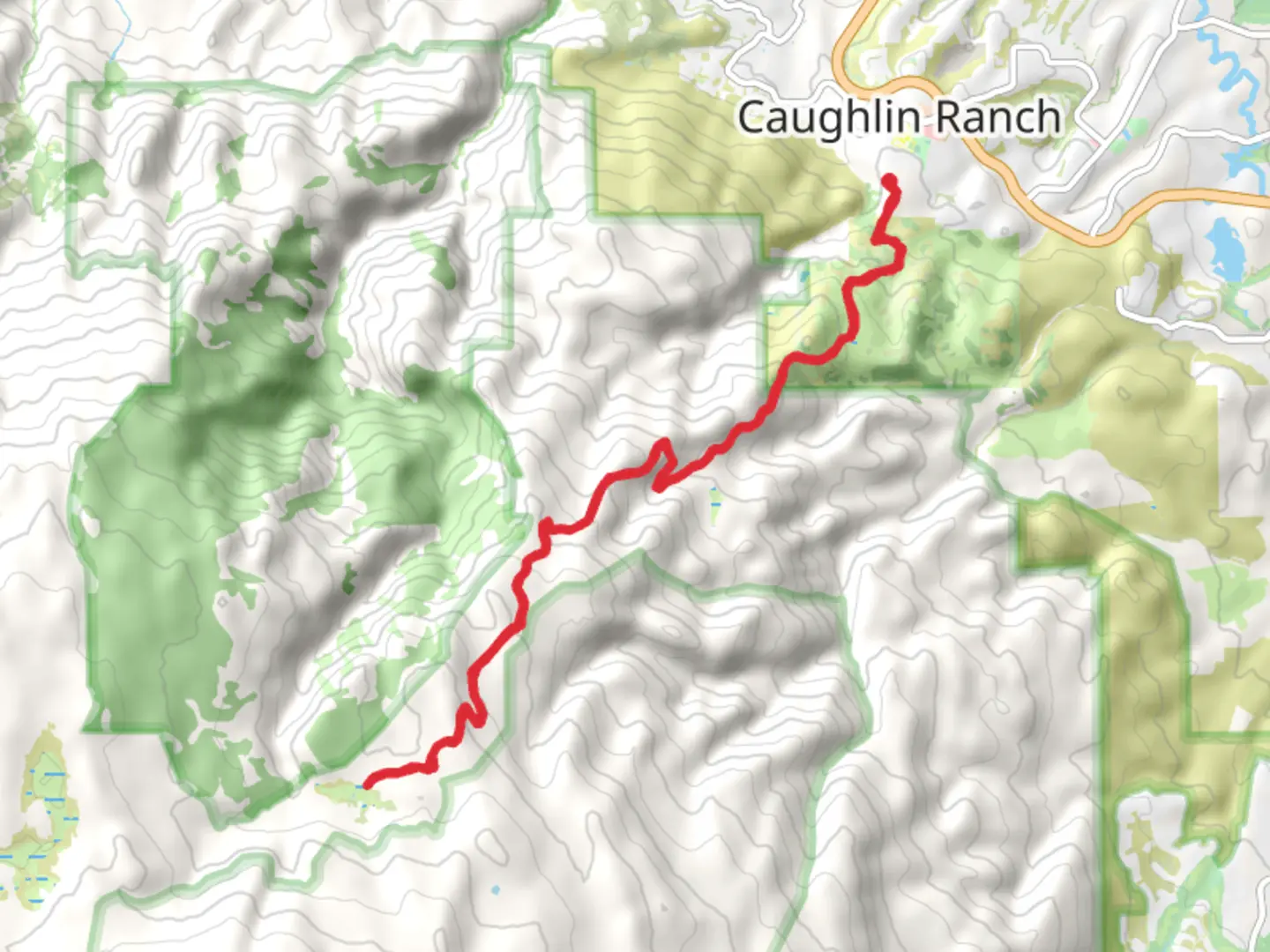 An image depicting the trail Hunter Lake from Pinebluff Trail and its surrounding area.
