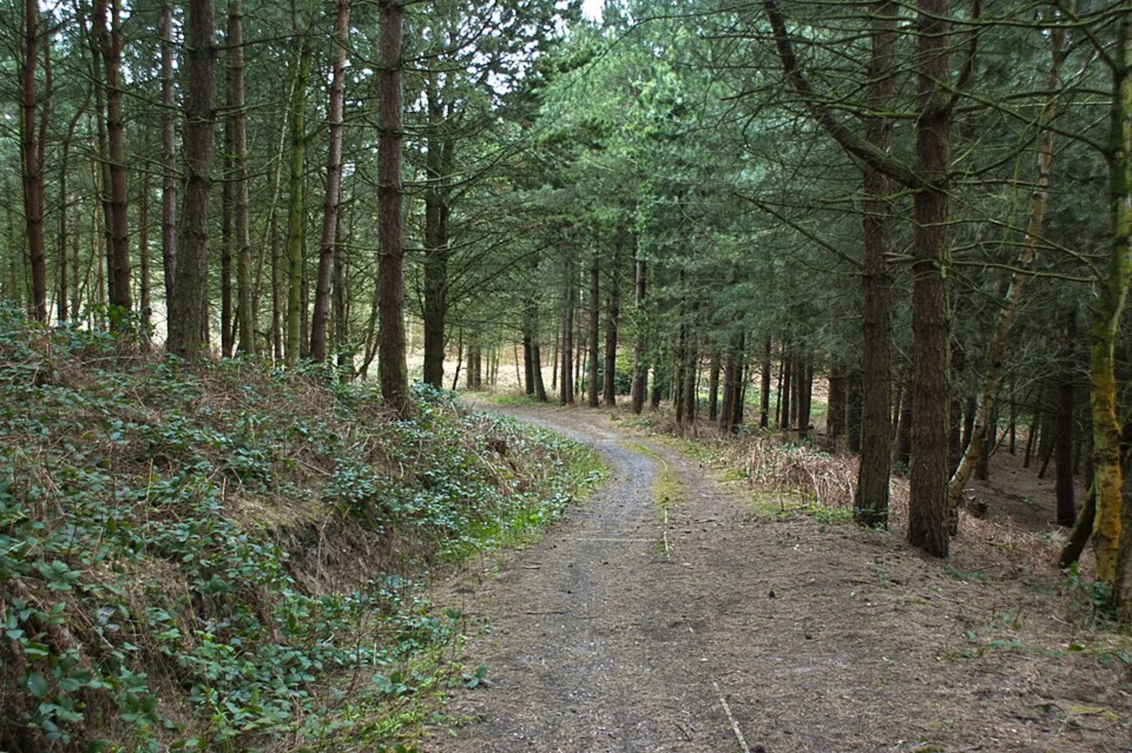 An image depicting the trail Daresbury Country Park Loop and its surrounding area.