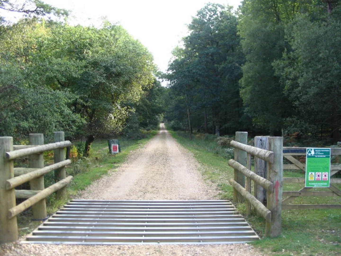 An image depicting the trail Roundhill and Ladycross Inclosure Loop and its surrounding area.