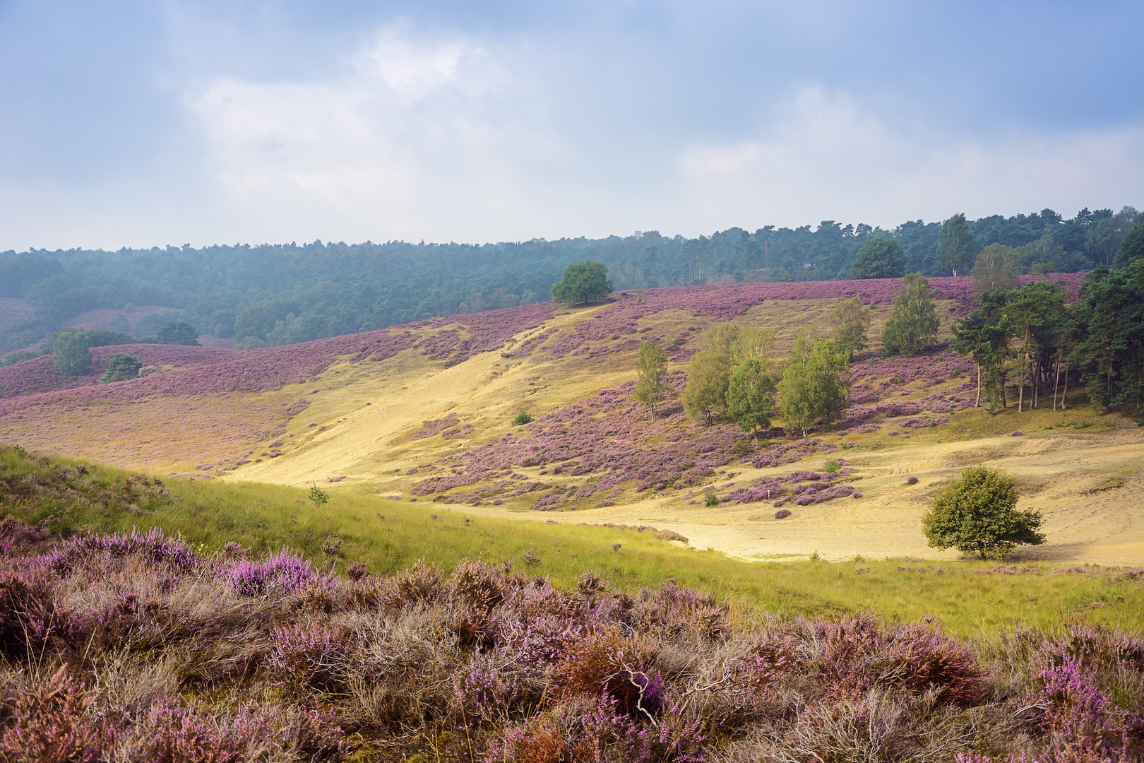 An image depicting the trail Panorama Weg, Doctor Hartogs Weg and Born Weg and its surrounding area.