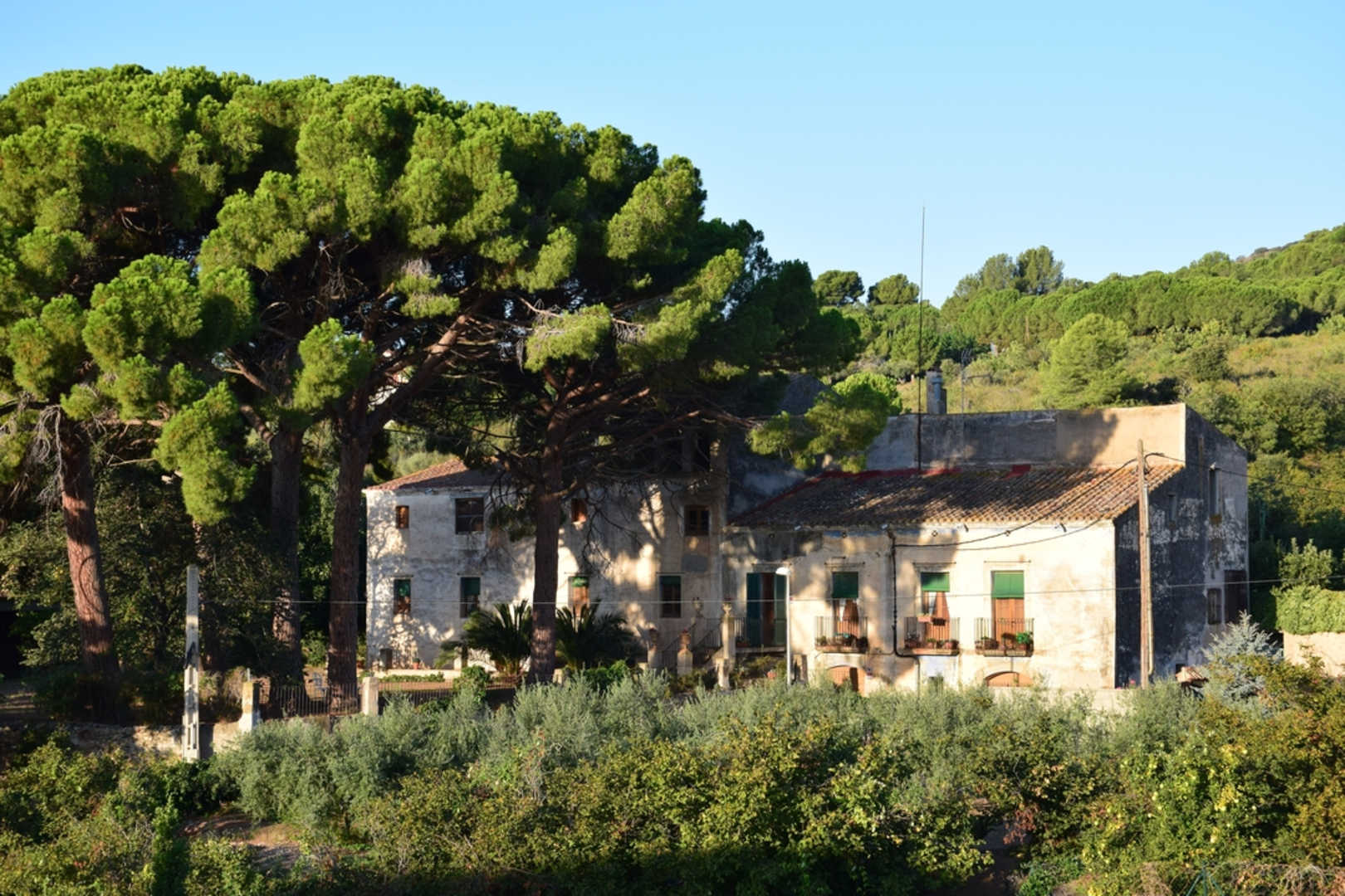 An image depicting the trail Comma Road SL C 156 and its surrounding area.