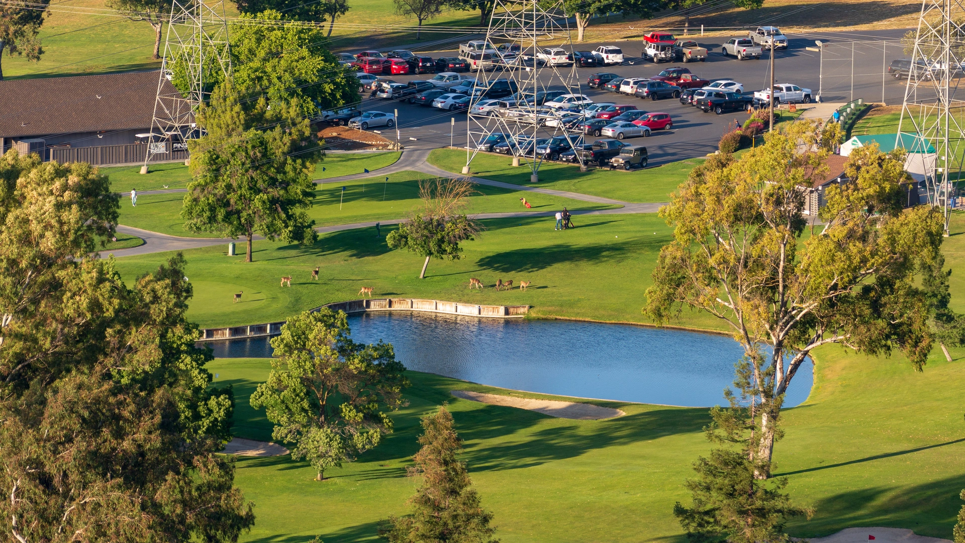 An image depicting the trail Santa Teresa lake - Coyote Peak - Rocky Ridge Loop Trail and its surrounding area.