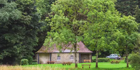 An image depicting the trail Killeshandra Loop and its surrounding area.