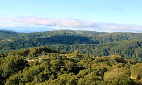 Mount Buller Traverse Trail