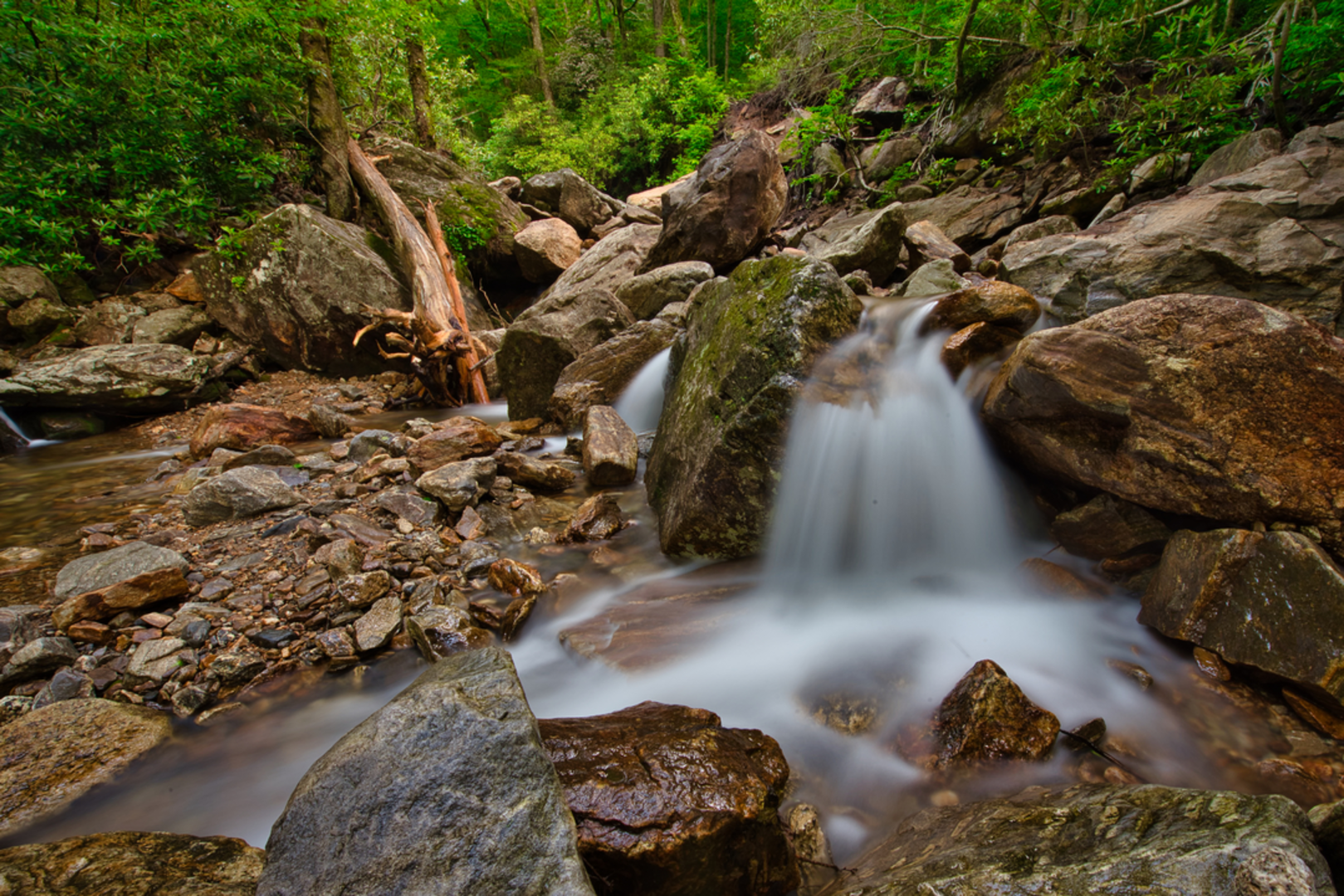 An image depicting the trail Greasy Cove Trail and its surrounding area.