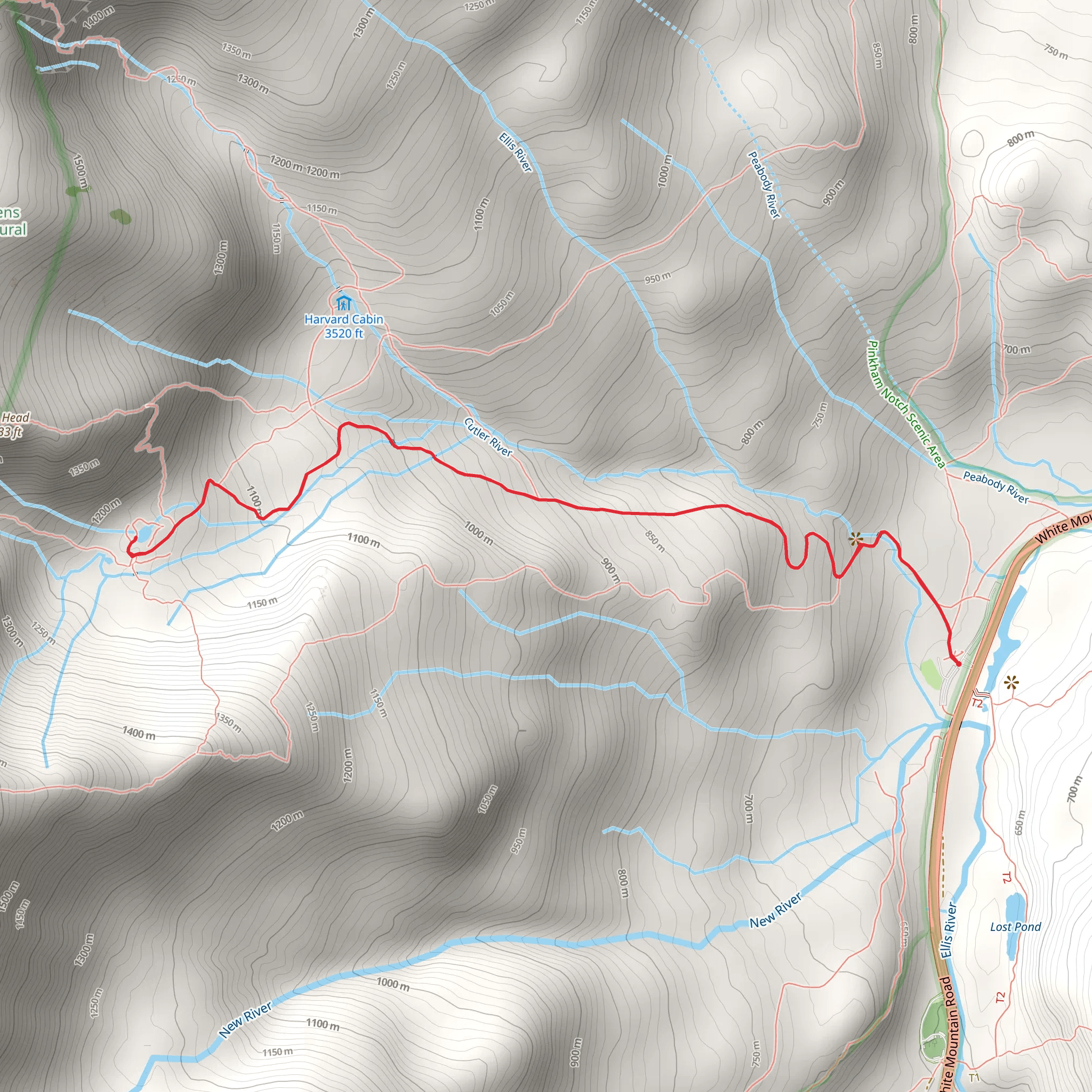 Hermit Lake via Tuckerman Ravine Trail mobile static map