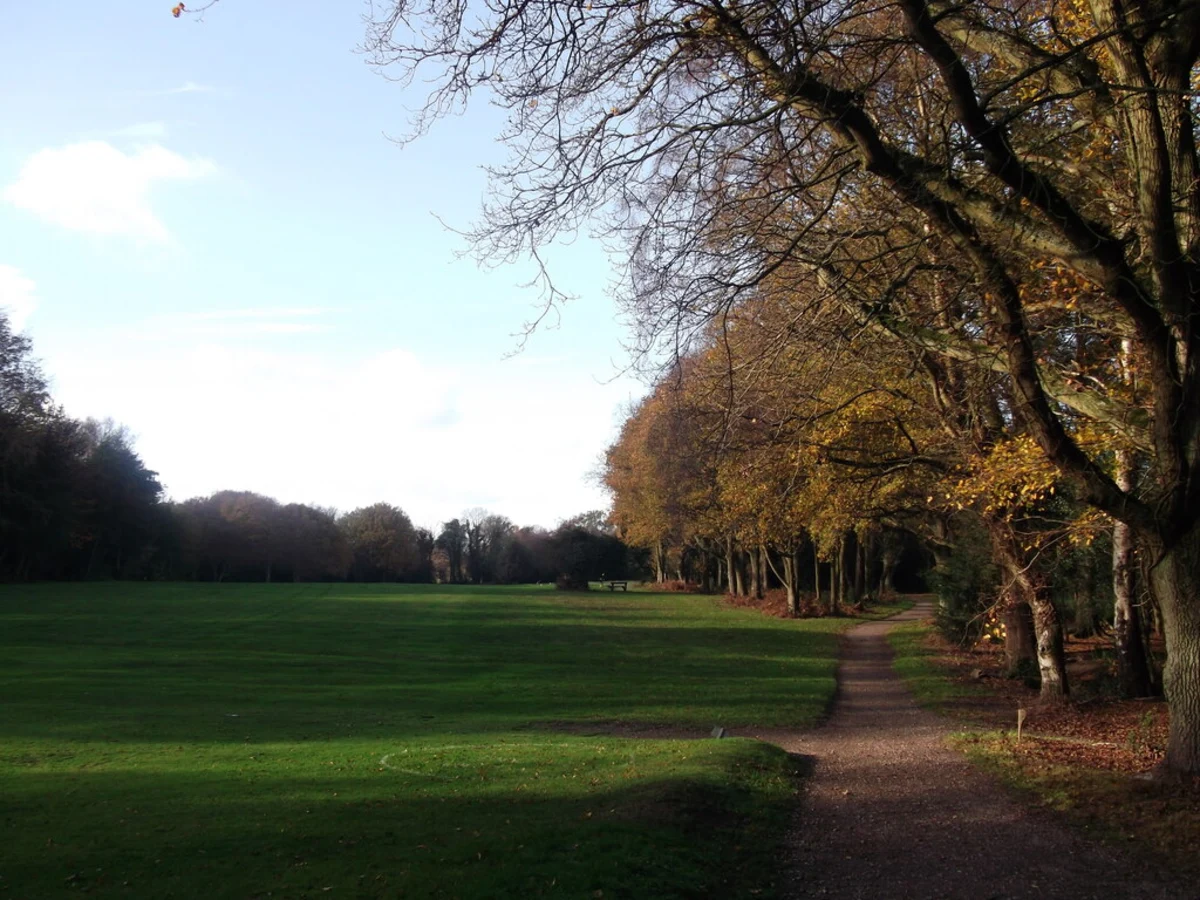 Limpsfield Common East Loop