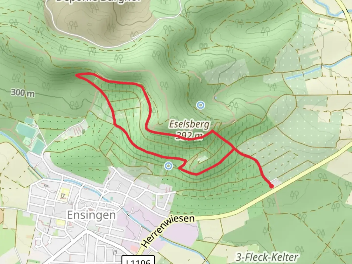 An image depicting the trail Natur-Lehrgarten and Eselsberg Loop and its surrounding area.
