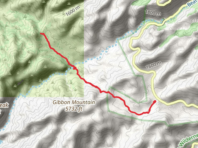 Sycamore Saddle via Arizona Trail