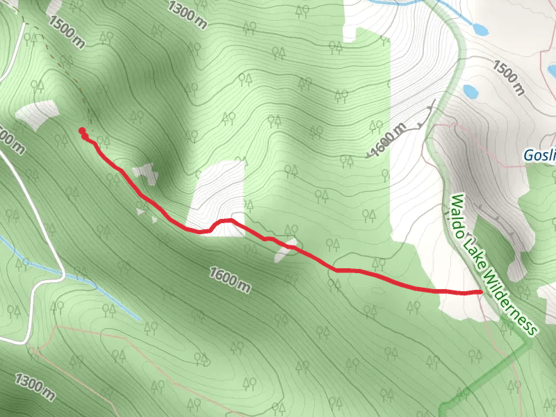 Waldo Ridge Trail mobile static map