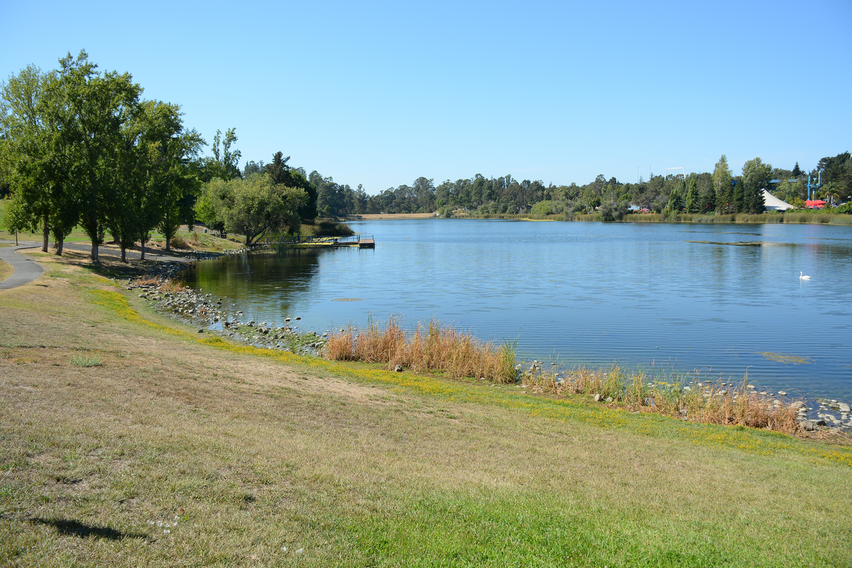 Lake Chabot West Shore Trail