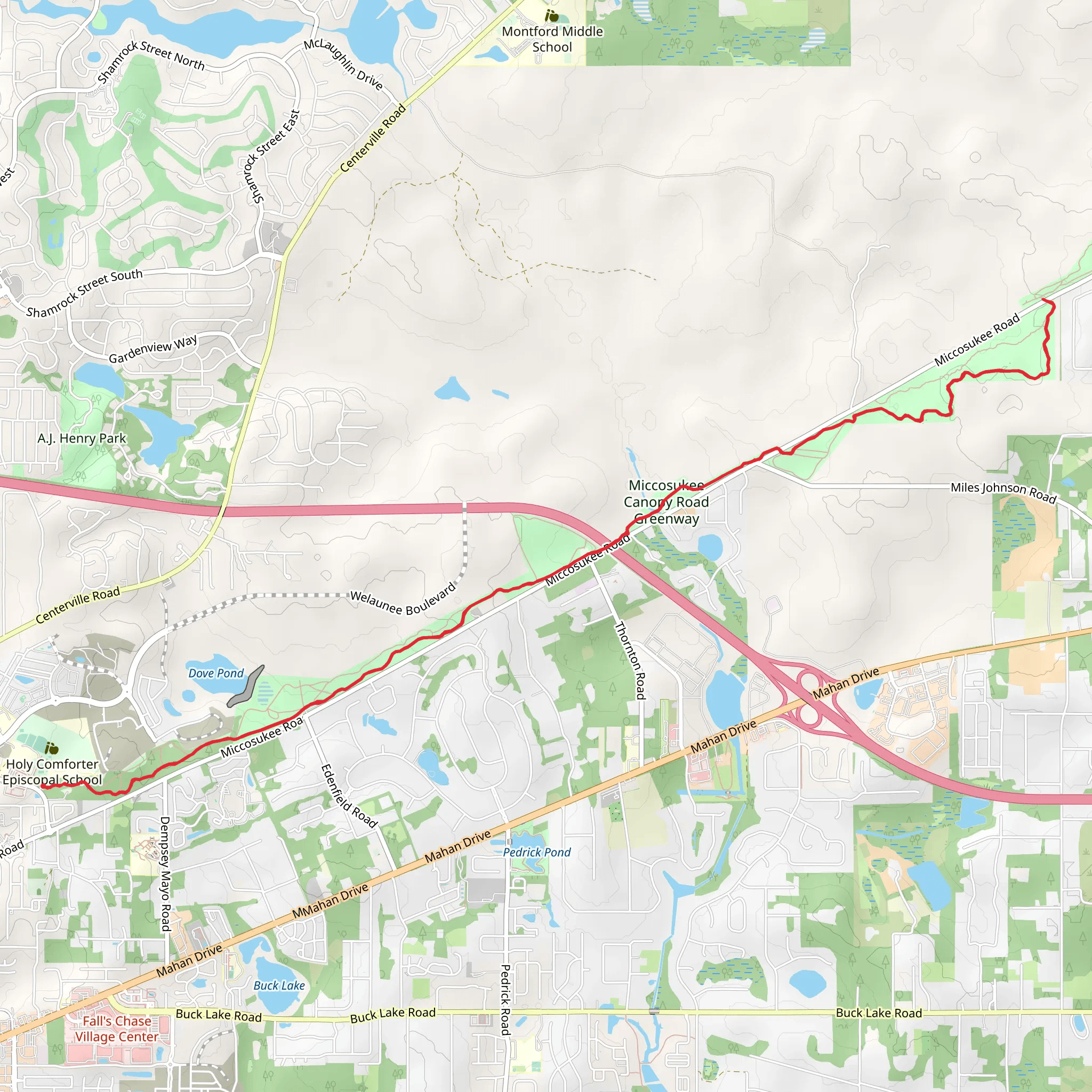 Miccosukee Greenway Trail mobile static map