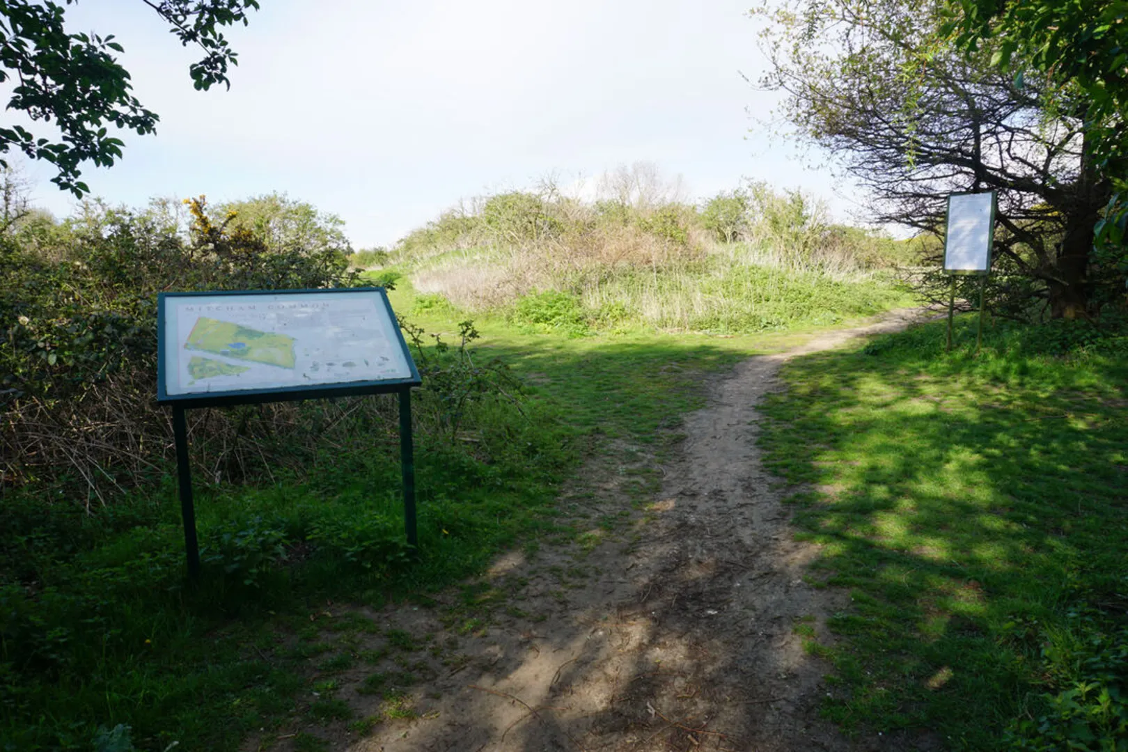 An image depicting the trail Mitcham Common and its surrounding area.