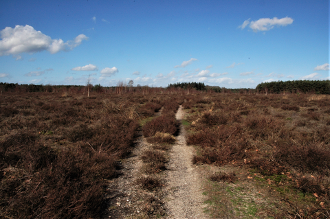 Kanonsberg and Brobbrlbies Loop