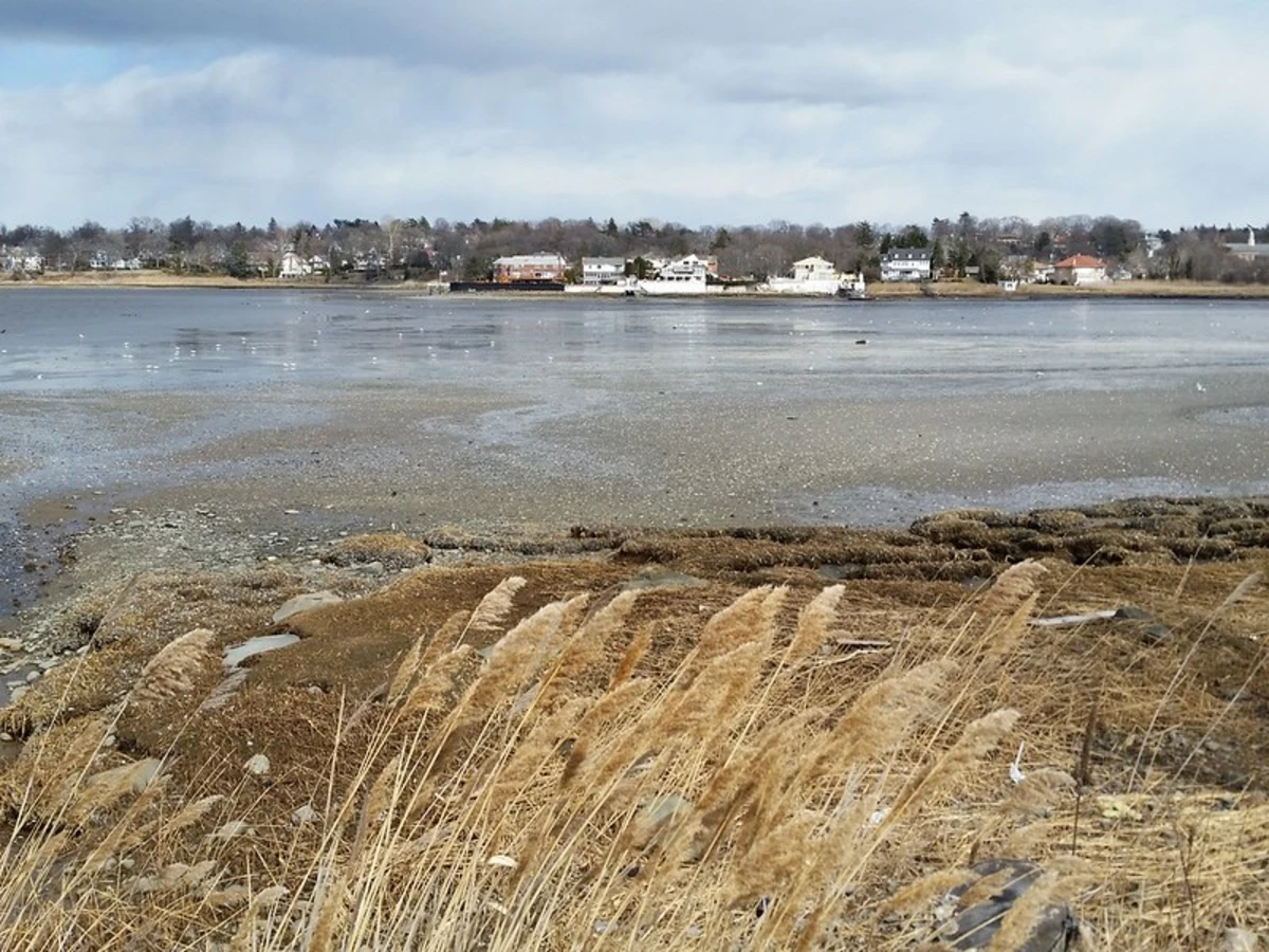 Fort Totten Park Loop