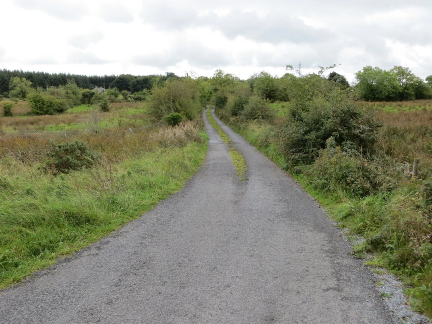 An image depicting the trail Cloonfad Derrylahan Loop and its surrounding area.