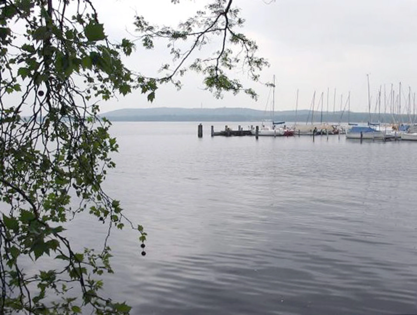 An image depicting the trail Krummendammer Heide Loop - Ravenstein and its surrounding area.