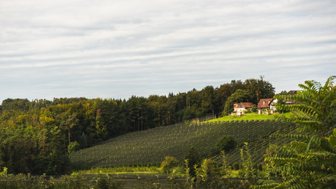 An image depicting the trail Puch bei Weiz - Tramway Loop Trail and its surrounding area.