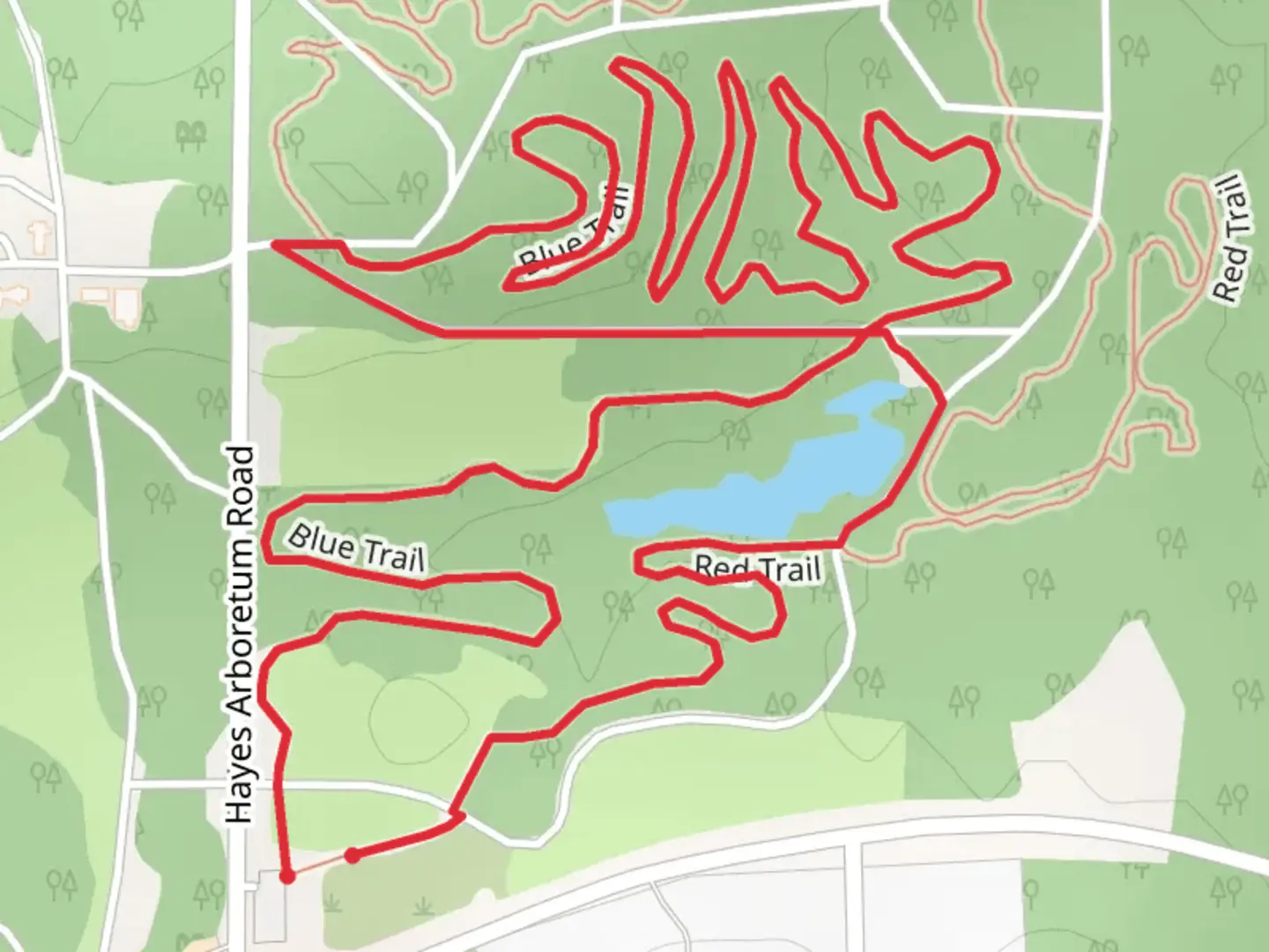 An image depicting the trail Hayes Arboretum Loop Trail and its surrounding area.