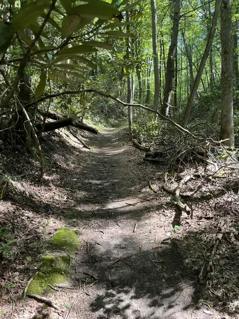 Florence Nature Preserve Access Trail