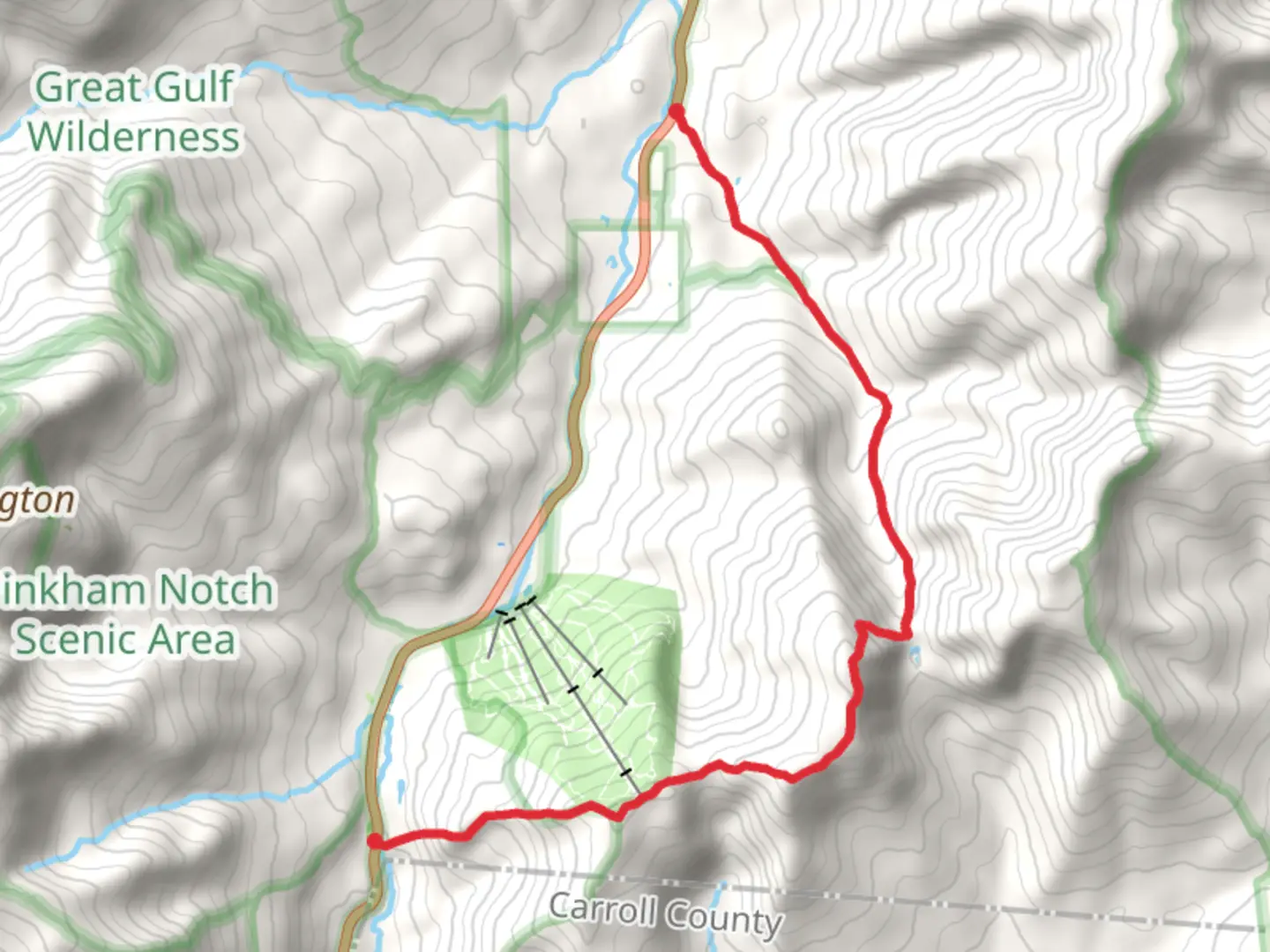 An image depicting the trail Wildcat Ridge and Nineteen Mile Brook Trail and its surrounding area.