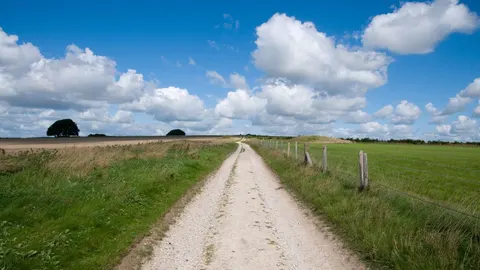 An image depicting the trail The Ridgeway National Trail and its surrounding area.