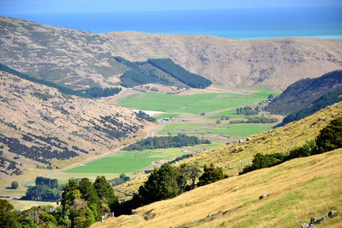 Kaituna Valley Packhorse Hut Track