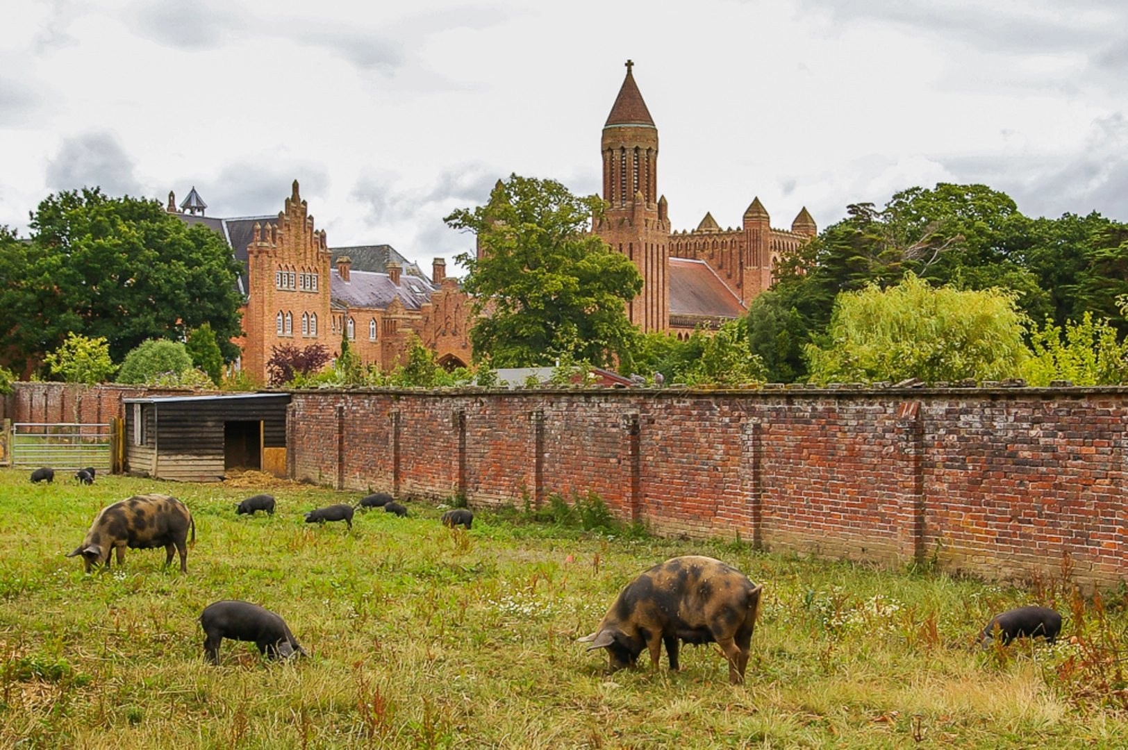 An image depicting the trail Quarr Abbey Loop and its surrounding area.
