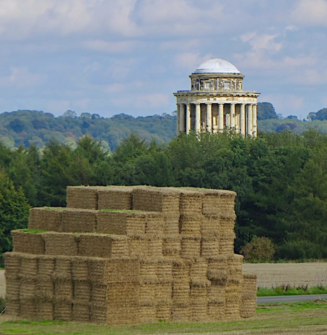 An image depicting the trail Mill Hills Beck and Lowdy Hill Wood and its surrounding area.