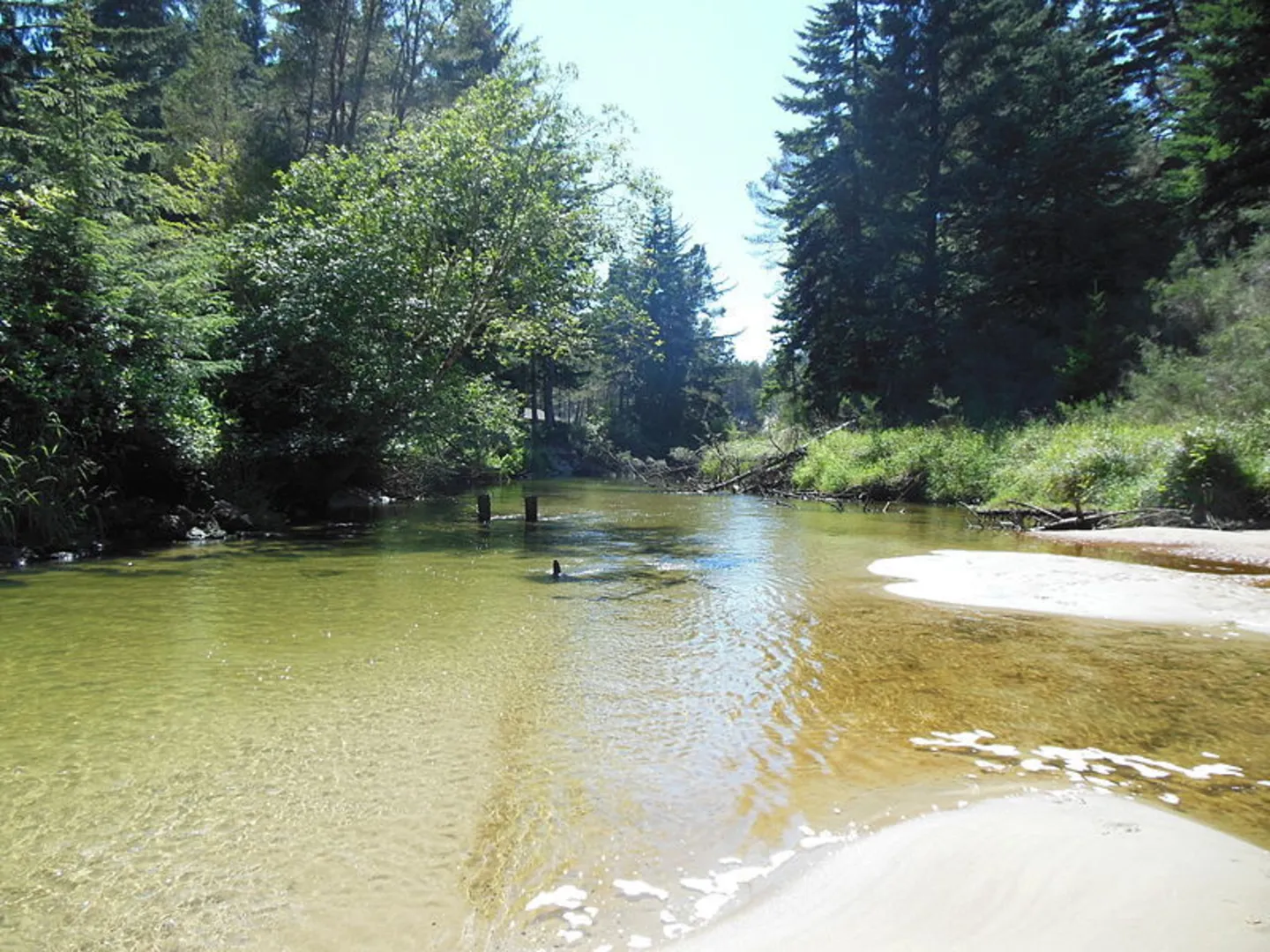 An image depicting the trail Chief Tsiltcoos Trail and its surrounding area.