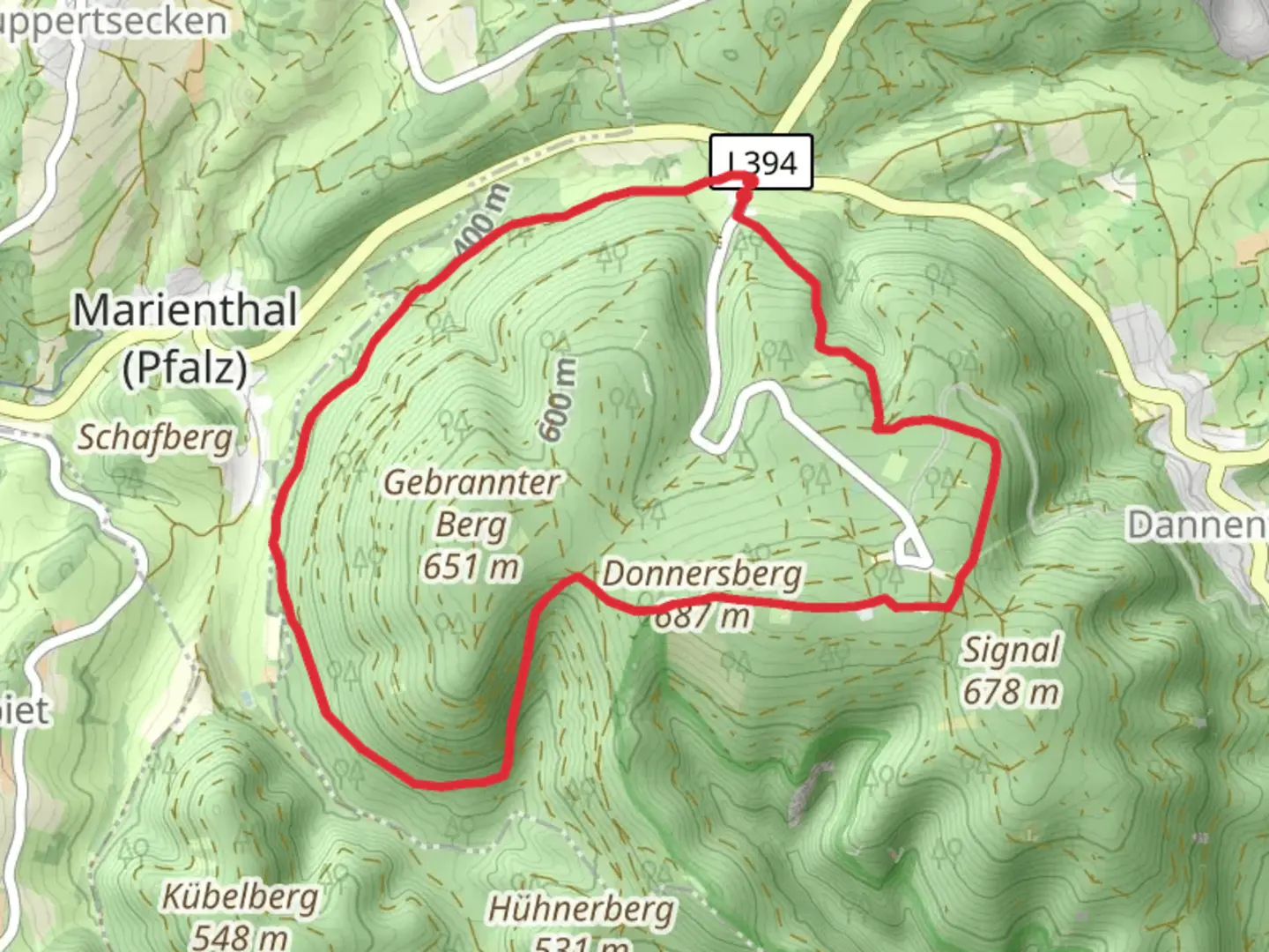 An image depicting the trail Der Hoechste Loop via Pfaelzer Hoehenweg and its surrounding area.