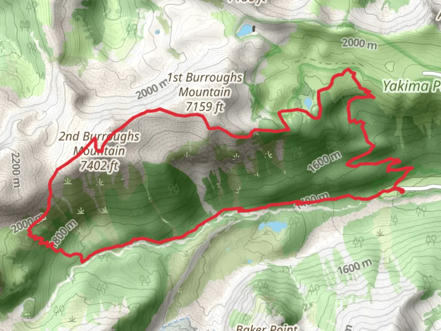 An image depicting the trail Glacier Basin Trail and Sunrise Trail and its surrounding area.