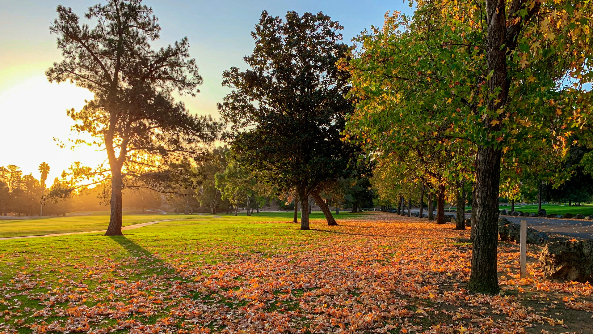An image depicting the trail Ohlone Trail and Ridge Trail Loop and its surrounding area.