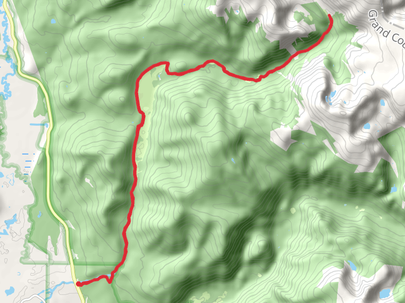 Timberline Group Site via CDT
