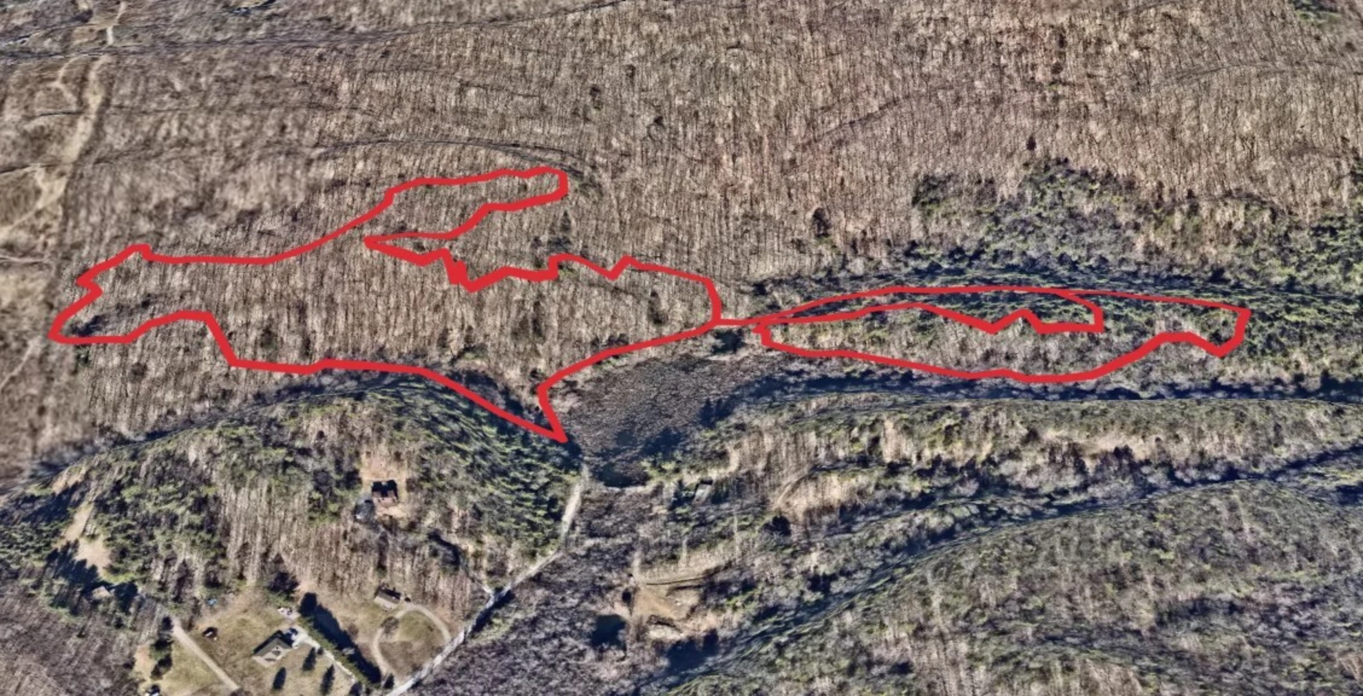 An image depicting the trail Pond Gut via Yellow Trail and its surrounding area.