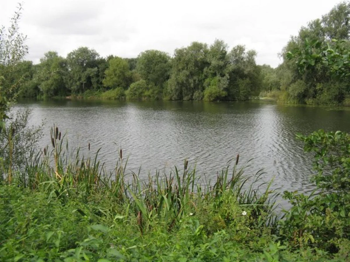 Priory lake , Fenlake Meadows Local Nature Reserve and Priory Country Park Loop