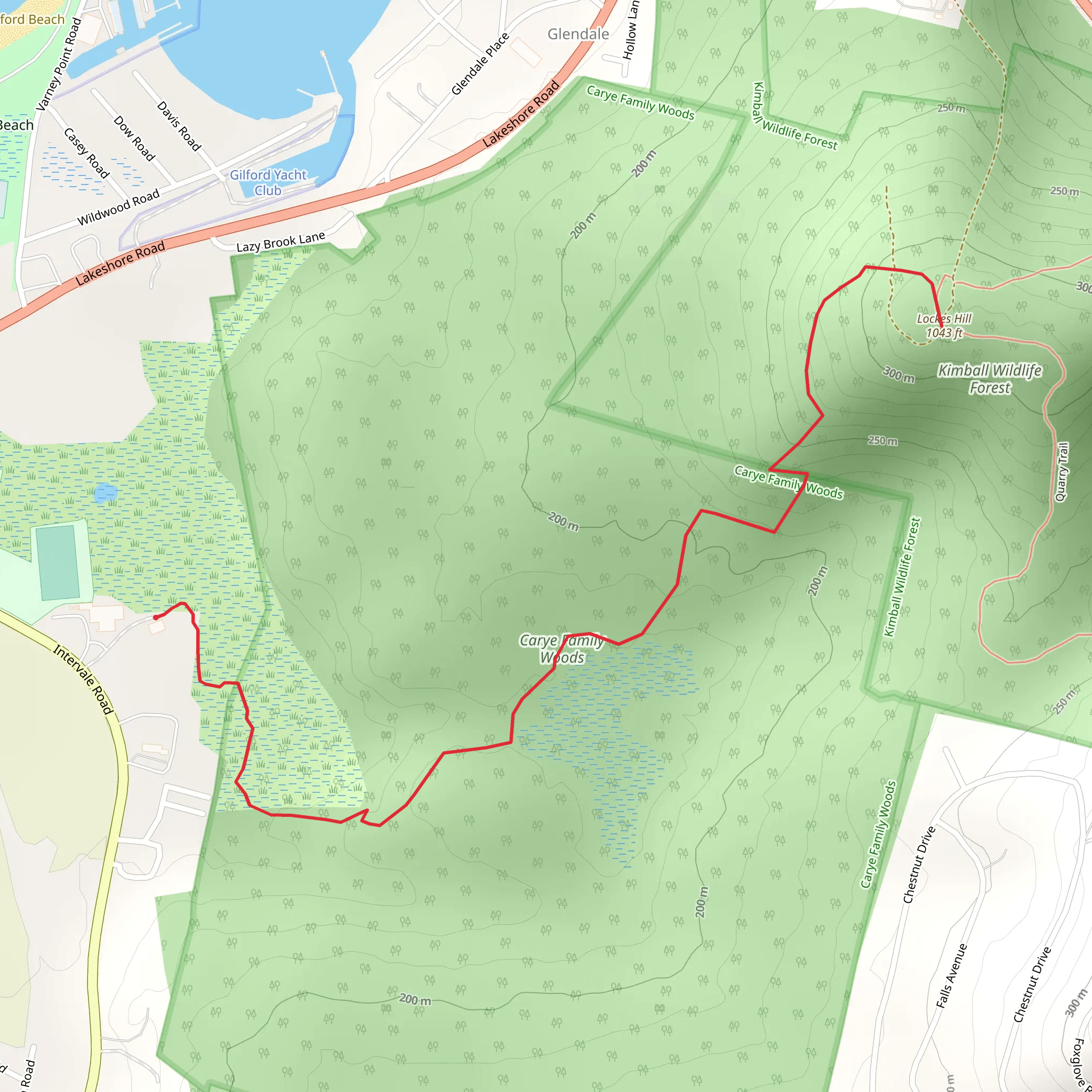Lockes Hill Trail via Intervale Road mobile static map