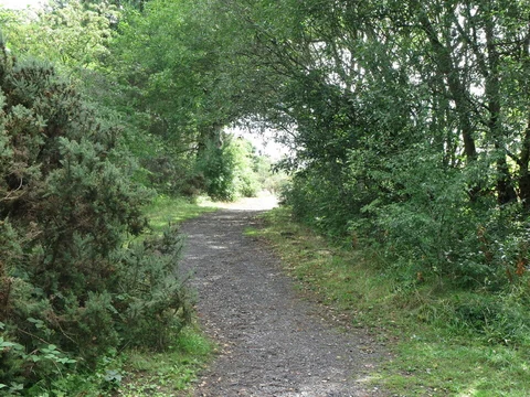 An image depicting the trail Weetslade Country Park Walk and its surrounding area.