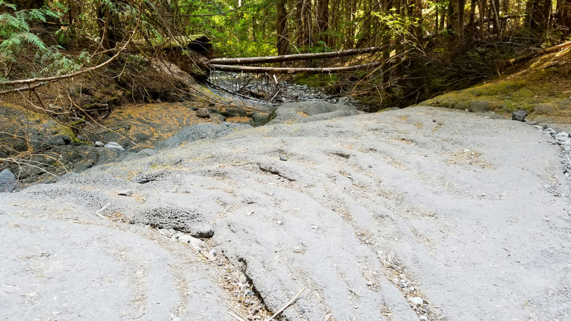 An image depicting the trail Ape Cave Trail and its surrounding area.