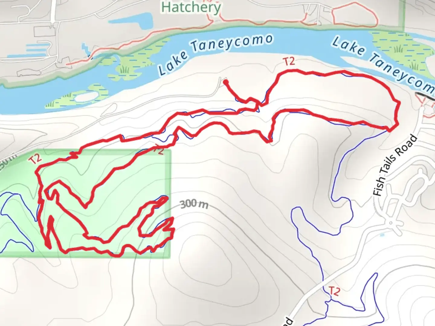 An image depicting the trail White River Trail Valley System - Blue Loop and its surrounding area.