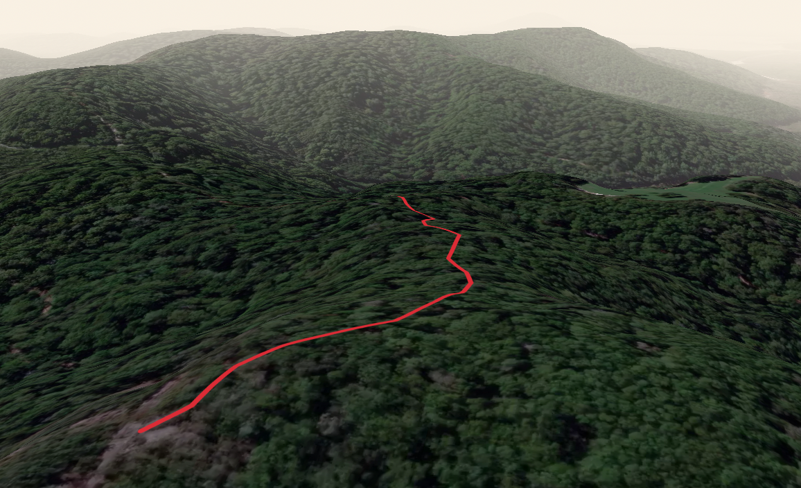 Mt Clare Summit Trail