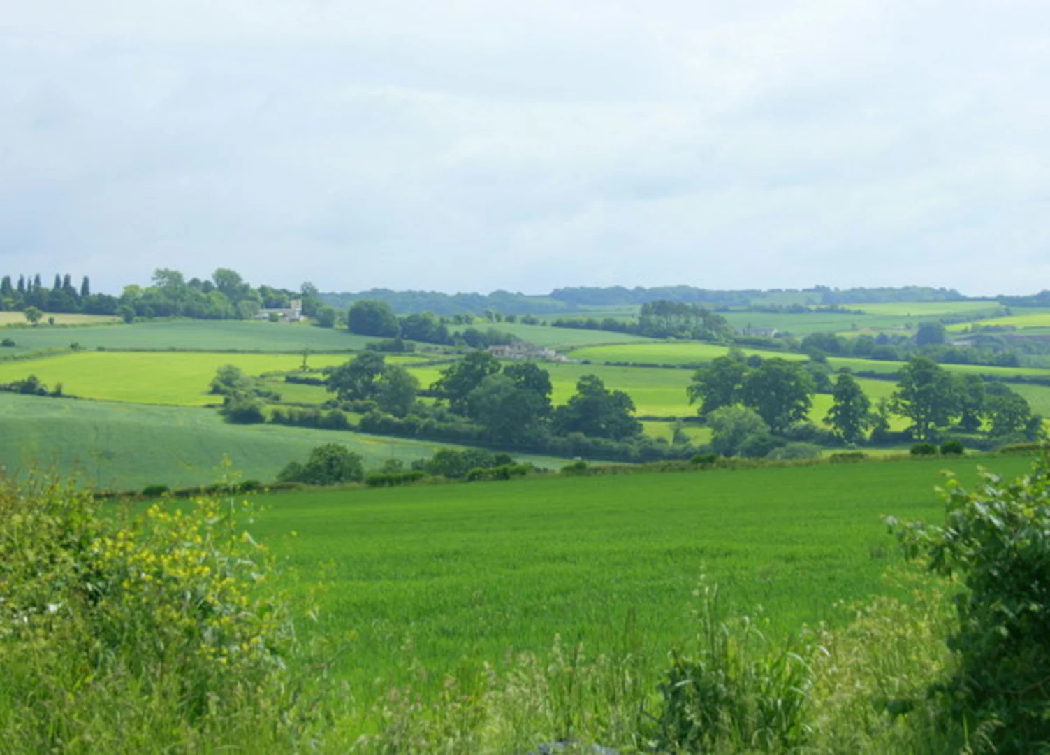 An image depicting the trail Newton St Loe Loop and its surrounding area.