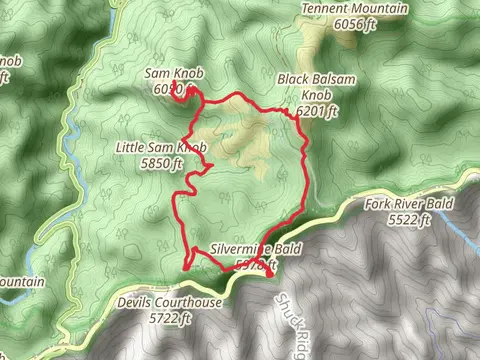 Art Loeb Trail, Sam Knob and Little Sam Trail Loop