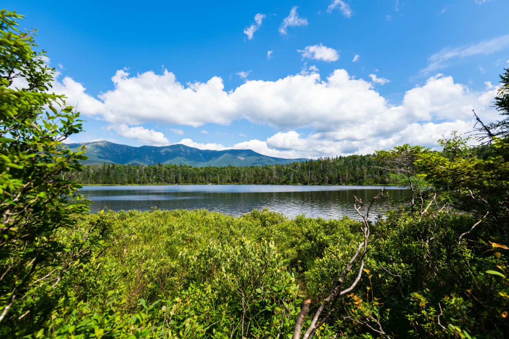 An image depicting the trail Cannon Mountain and Lonesome Lake Loop Trail and its surrounding area.