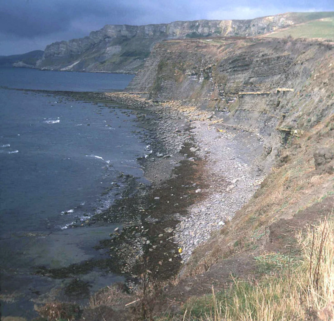 An image depicting the trail Lulworth Cove to Swanage Pier Walk and its surrounding area.