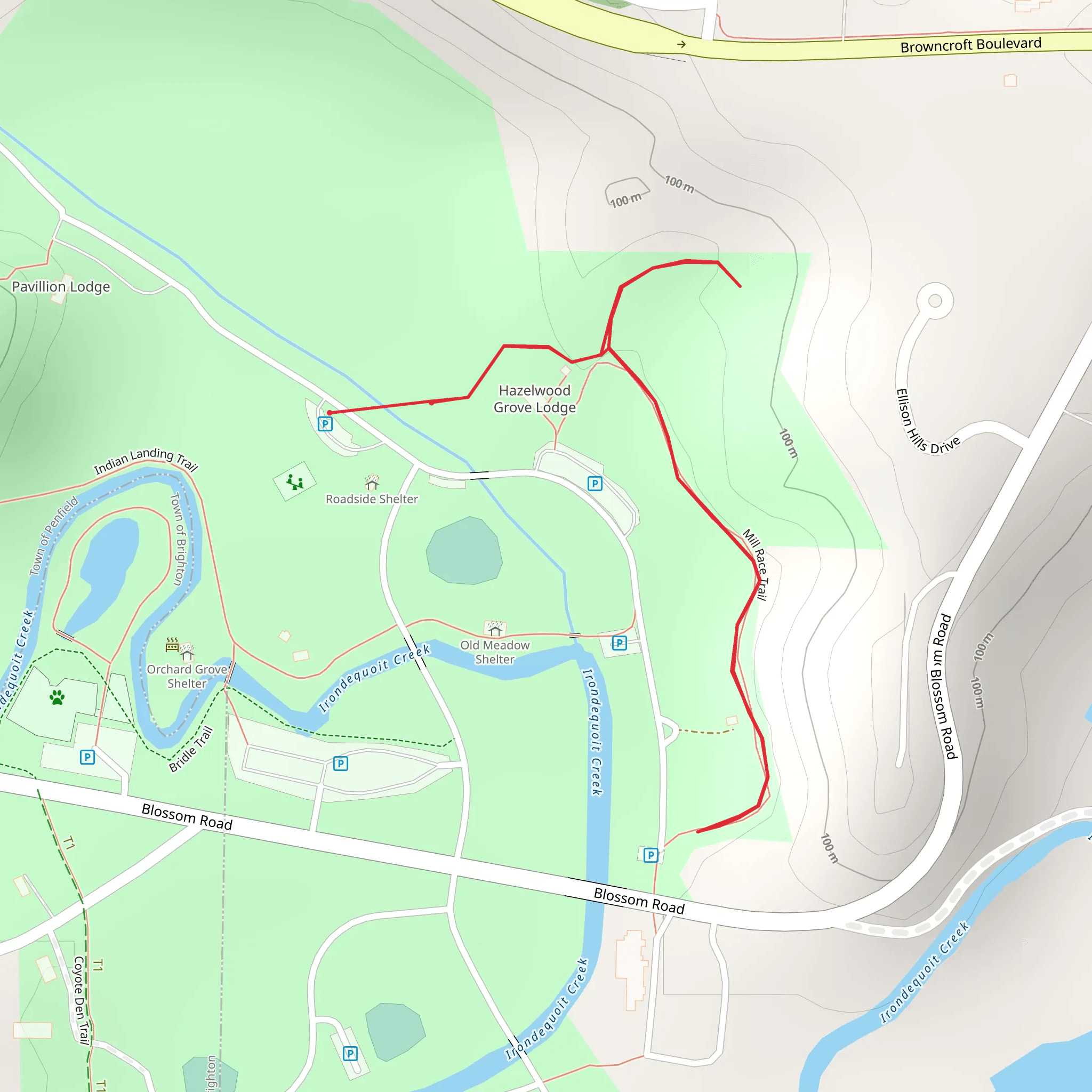 Ellison Park Road mobile static map